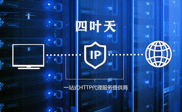 【莱州代理IP】代理IP的主要用途和使用注意事项